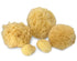 Real Natural Sea Sponges Multipack, 5pc Spa Gift Set for Bath Shower Facial Cleansing