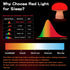 illuwise Dimmable 630nm Red Night Light, Mushroom Lamp for Sleep & Relaxation, Red Light with Timer, Touch Control