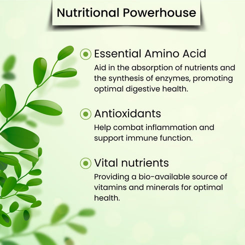 Moringa Leaf Powder, 8 oz, Freeze Dried & True Green 100% Pure Moringa Oleifera Leaf, Essential Amino Acids,