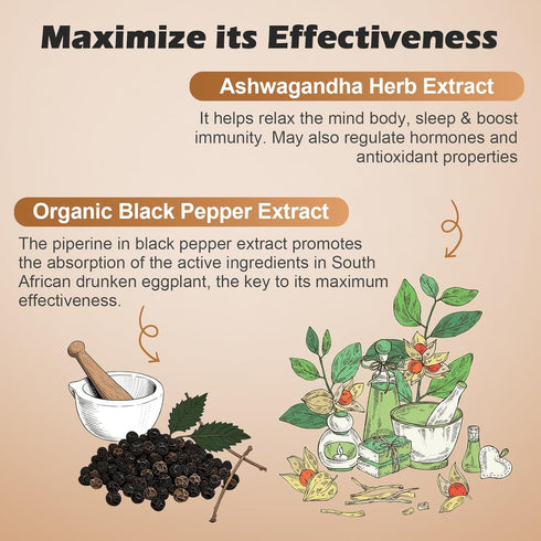 Immune 90 OMOGS Organic Ashwagandha, Pure Herb Extract, Added Black Pepper, High Absorption, for Boosts Energy, Sleep