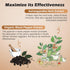 Immune 90 OMOGS Organic Ashwagandha, Pure Herb Extract, Added Black Pepper, High Absorption, for Boosts Energy, Sleep