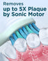RAPHARY 4 120 8 Sonic Electric Toothbrush for Adults - Rechargeable, Modes, Green, Days Battery Life, Travel Case