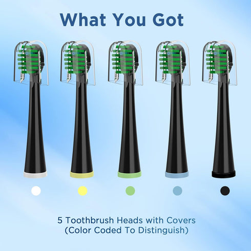 Replacement Toothbrush Heads for Waterpik Sonic Fusion Models (SF-01, SF-02, SF-03, SF-04), 5 Count, Black