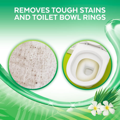 Lysol Toilet Bowl Cleaner Gel ¦ Cleaning and Disinfecting, Stain Removal, Forest Rain Scent, 24oz (Pack of 2)