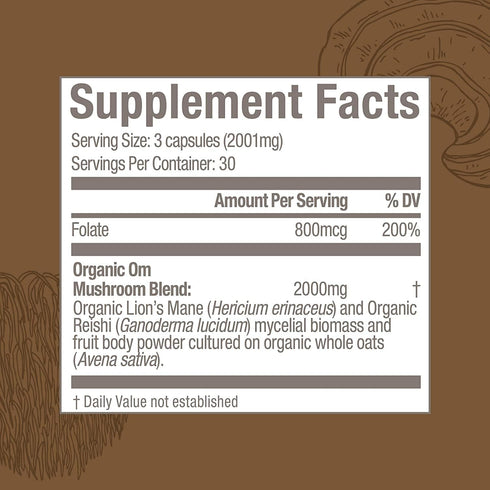OM Mushroom Superfood Brain Fuel Mushroom Powder Capsules, 90 Count, Lion's Mane & Reishi Blend