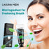 Lagunamoon Whitening Charcoal Toothpaste for Sensitive Teeth, Enamel Repair, Mint Flavor Gel for Cavity Protection