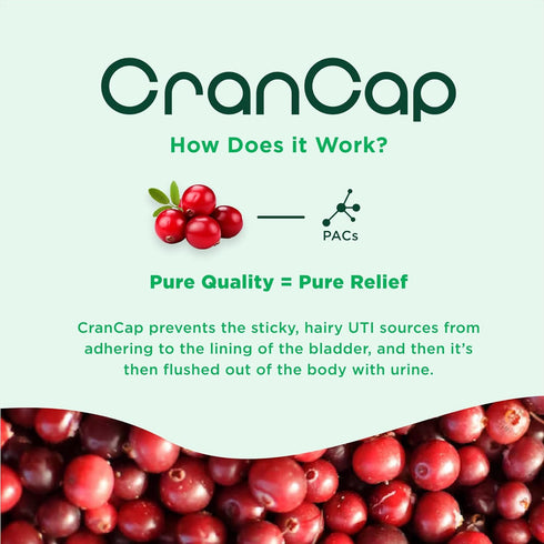 Heale Cranberry Pills - 36mg PACs Urinary Tract Health Supplement - Non-GMO, Vegan, Gluten-Free - 30 Capsules