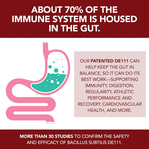 Plant.O Organic Probiotic Gummies - 30 Chewable Probiotics, 5 Billion CFUs, Strawberry Flavor for Digestion & Immune