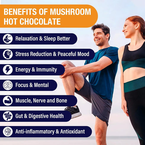Volocatilly 7.4oz Mushroom Hot Cocoa with Magnesium Glycinate, Reishi, L-Theanine, Ashwagandha, Lemon Balm, Lavender