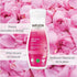 Weleda Pampering Wild Rose Body Lotion, 6.8 Fl Oz, Plant Rich Moisturizer with Wild Rose Oil