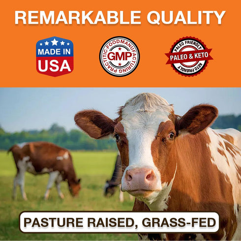 Zammex 20g Pure Grass Fed Beef Bone Broth Protein Powder, Protein, Hydrolyzed Collagen Supplement for Healthy Skin