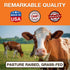 Zammex 20g Pure Grass Fed Beef Bone Broth Protein Powder, Protein, Hydrolyzed Collagen Supplement for Healthy Skin