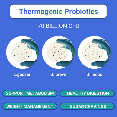 Ruolai 68B 60 ProBalance Probiotics for Women CFU Menopause, Bloat & Belly Support Turmeric & Moringa Digestive & Joint