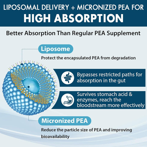 Liposomal Palmitoylethanolamide 1300 MG Plus Luteolin 100 MG, Micronized Pea Supplement for Discomfort
