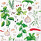 Importer AM AM Dcor - 20 Count Soft 3-Ply Decoupage Luncheon Paper Napkins -13""