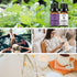 yethious Organic Jasmine Lavender Essential Oil Set for Diffuser & Aromatherapy