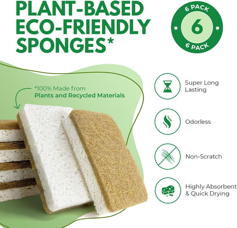 Natural Kitchen Sponges Pack of 6, Cellulose & Coconut Dish Sponge, Walnut Scrubber Sponges, Plate Friendly, No Scratch Eco Dishwashing Sponge for Washing & Cleaning, Quick Drying, Odor Free by AIRNEX
