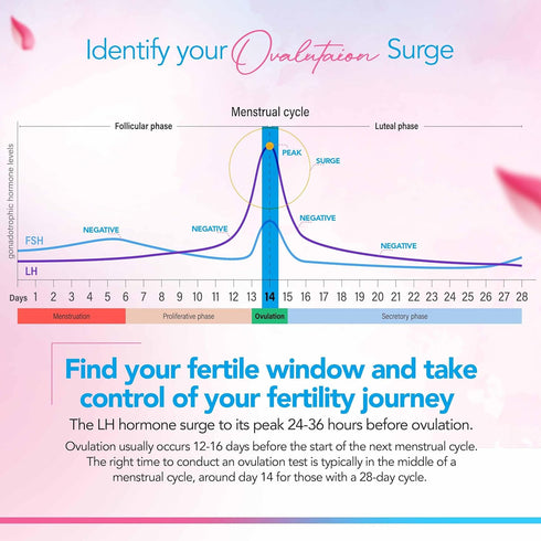 Pack 25 5 Clinical Guard Ovulation Test Strips of - Accurate Measurement Within min - Ovulation Tests Cost-Effective
