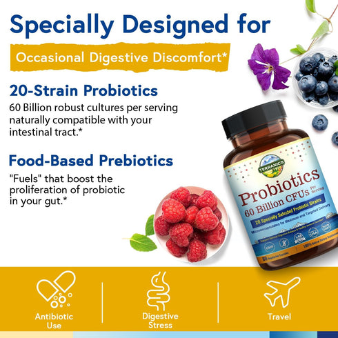 Terranics Probiotics 60 Billion CFU - 20 Strains, 60 Veg Capsules, Shelf Stable Supplement for Digestive Health