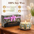 Set, 12 Pack 12 Scented Candles Gift Soy Wax Candles for Home, Scents, Aromatherapy Travel Tins with Gift Box
