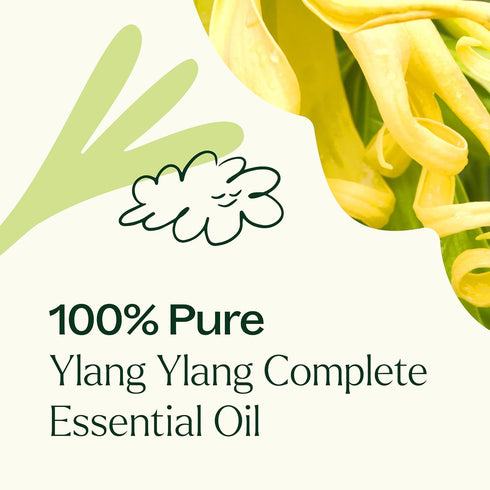 Plant Therapy Ylang Ylang Complete Essential Oil 10 mL (1/3 oz) | 100% Pure, Undiluted, Natural Aromatherapy,