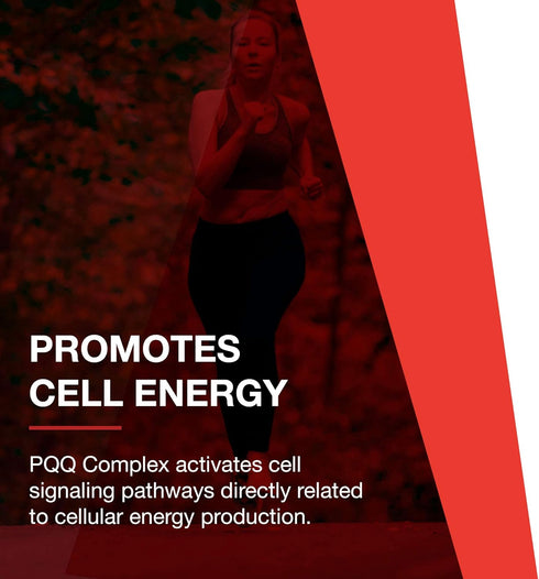 Protocol PQQ Complex - Mitochondrial Health with CoQ10 & L Carnitine - Energy Supplements - 30 Veg Caps