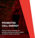 Protocol PQQ Complex - Mitochondrial Health with CoQ10 & L Carnitine - Energy Supplements - 30 Veg Caps