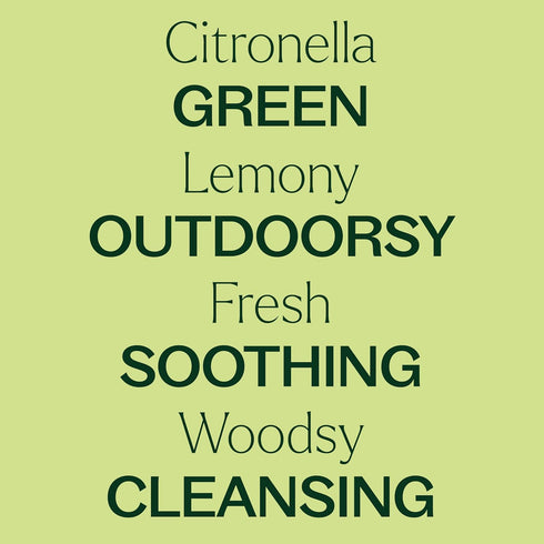 Plant Therapy Citronella Essential Oil, 100 mL (3.3 oz), 100% Pure
