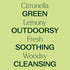 Plant Therapy Citronella Essential Oil, 100 mL (3.3 oz), 100% Pure