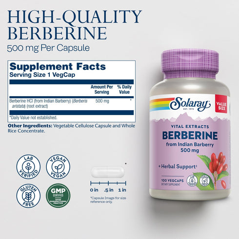 SOLARAY Berberine 500mg Supplement for Healthy Lifestyle, Vegan & Non-GMO, 100 Servings