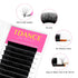 TDANCE Easy Fan Lash Extension, Rapid Blooming Volume Eyelash Extensions, C CC D DD J B L Curl, 0.03-0.12mm