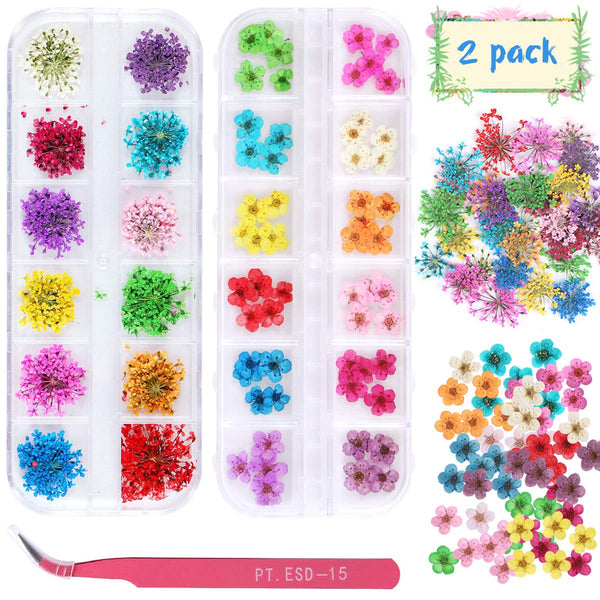 KISSBUTY 24 Colors Dry Flowers, Mini Real Natural Flowers Nail Art Supplies for Tips Manicure Decor