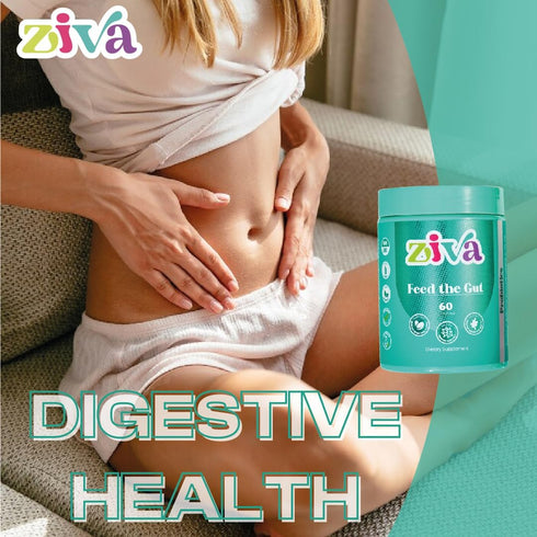 ZIVA Gummies - Feed The Gut Probiotics - Digestive Health Gummies - Probiotics for Adults, Women, and Men - 60 Gummies