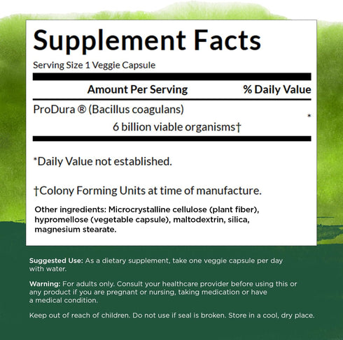 Swanson Bacillus Coagulans, 60 Veggie Capsules, 6 Billion CFU, Natural Probiotic Supplement for Digestive Health