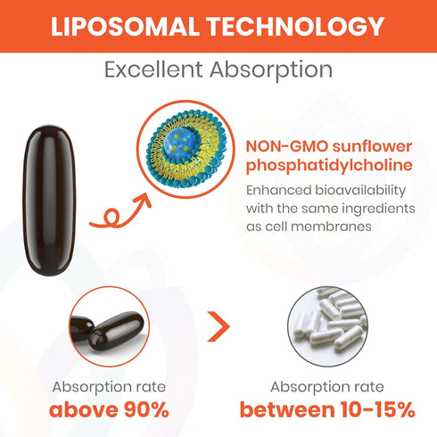 1500mg Fisetin Supplements, Powerful Absorption with Liposomal Delivery, 60 Softgels for Adults