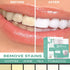 3 Days Teeth Whitener Mint Deep Cleaning Tooth Powder, Stain Remover & Polisher for Bright White Teeth in 5 Days