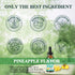 Quercetin with Bromelain Liquid Drops - 1000mg Quercetin & 500mg Bromelain, 7-in-1 Immune Complex for Respiratory Health