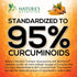 Turmeric Curcumin Supplement 2000mg with Glucosamine Chondroitin & Ginger - Nature's Joint Support, 180 Capsules