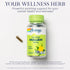 SOLARAY Mullein Leaf 330 mg, Vegan, Non-GMO, 100 Servings, 60-Day Guarantee
