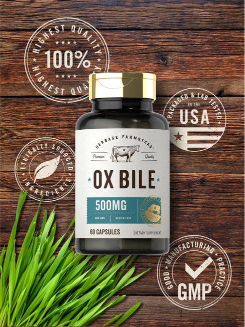 Carlyle Ox Bile Supplement | 500mg | 60 Capsules | Non-GMO & Gluten Free | Digestive Enzyme by Herbage Farmstead