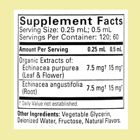 CHILDLIFE ESSENTIALS Echinacea for Kids - Natural Orange - Kids Echinacea Drops, 1 Fl Oz (Pack of 3) - Alcohol Free