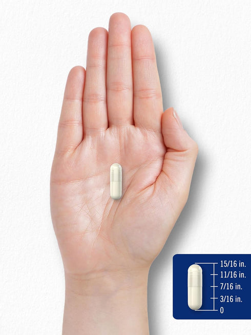 Carlyle L-Arginine 500mg Capsules | 240 Count | Free Form, Non-GMO & Gluten Free Supplement