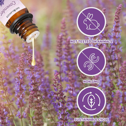 Set, Set 2 10 ml Sedbuwza Lavender Eucalyptus Essential Oil Lavender Fragrance Oil Eucalyptus Scent Oil for Diffuser