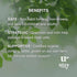 Allurtica Sinus & Respiratory Support Supplement, Quercetin and Stinging Nettle, 40 Capsules
