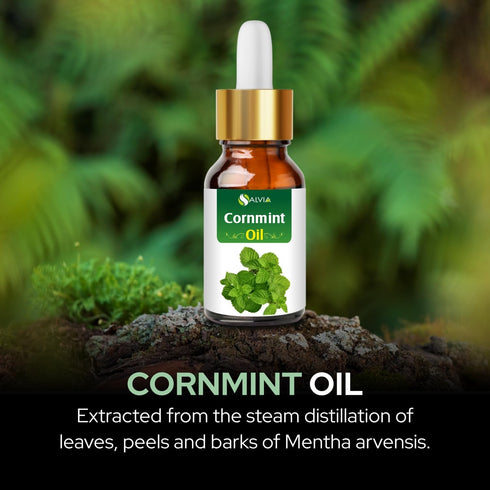Salvia Cornmint Oil 15 ml - 100% Natural Pure Undiluted Essential Oil with Dropper