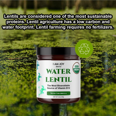 Water Lentil Protein Powder | Best Source of B12 Vitamin | Sugar Free | 10oz Glass Jar