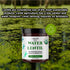 Water Lentil Protein Powder | Best Source of B12 Vitamin | Sugar Free | 10oz Glass Jar