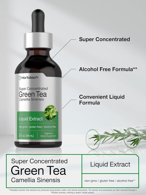 Horbaeach Green Tea Extract Liquid | 2 Fl Oz | Alcohol Free, Vegetarian Tincture, Non-GMO, Gluten Free