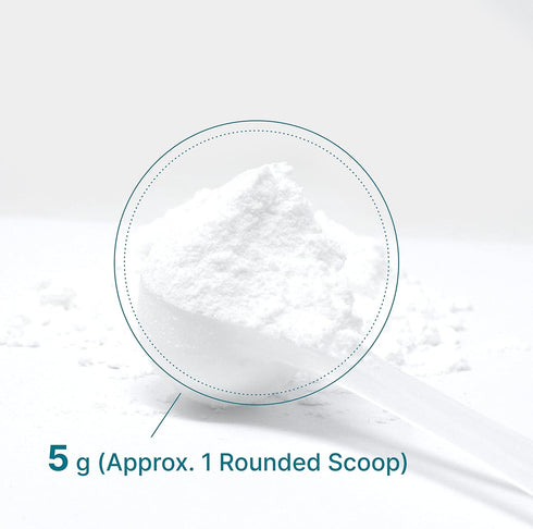 Creatine Monohydrate Powder 600 Grams, Unflavored Pure Micronized Creatine Powder, 5000mg Per Serving, Vegan