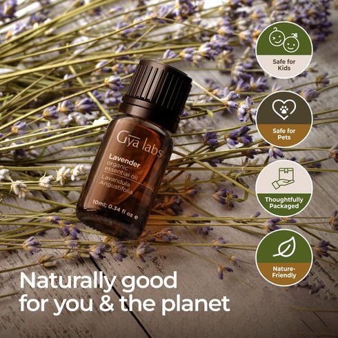 Gya Labs Organic Lavender Essential Oil - 100% Natural for Diffuser & Skin, Aromatherapy & Relaxation, 0.34 fl oz